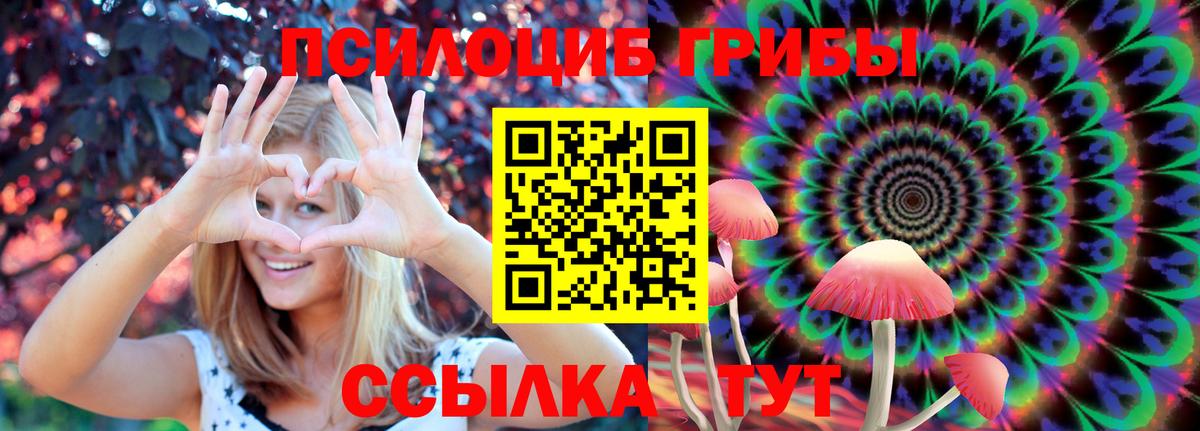 Псилоцибиновые грибы Cubensis  Вход с VPN  Галлюциногенные грибы мицелий  Тула 